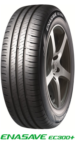 點擊圖片查看鄧祿普ENASAVE EC300+詳細介紹