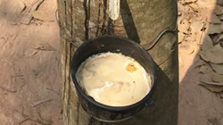 【集團(tuán)新聞】保障供應(yīng)，住友橡膠成立新加坡子公司