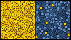 【集團(tuán)新聞】傲領(lǐng)科技之先，住友橡膠最新成果